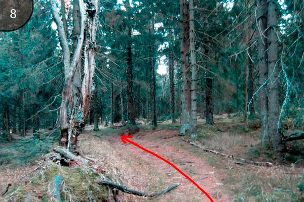 Im Wald wird der Weg wieder erkennbar