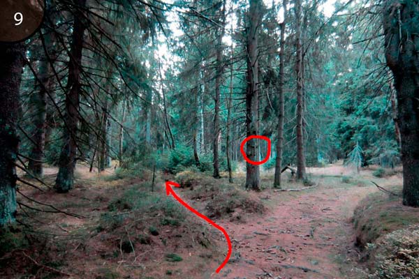 Am Baum sieht man ein Kreuz